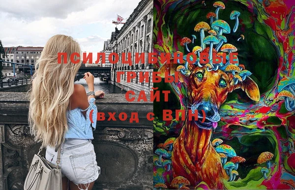 не бодяженный Алзамай
