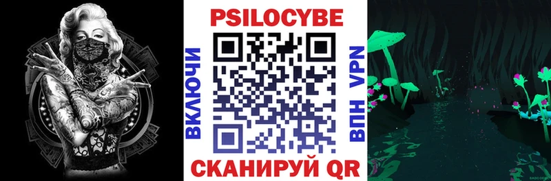 Псилоцибиновые грибы Psilocybe  Арзамас 